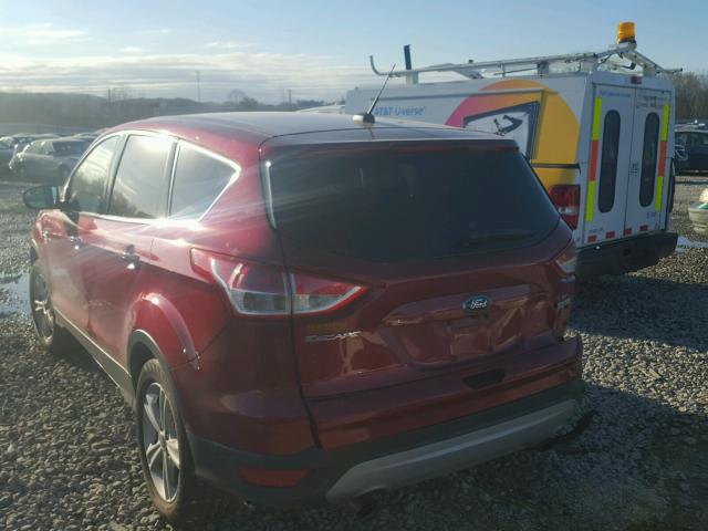 1FMCU0G90FUB13482 - 2015 FORD ESCAPE SE RED photo 3