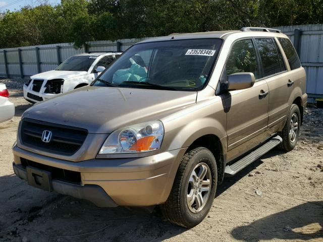 2HKYF18454H528267 - 2004 HONDA PILOT EX GOLD photo 2