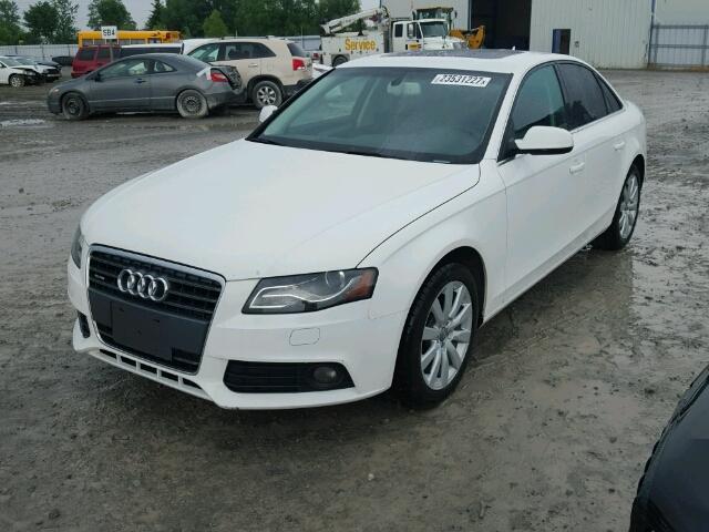 WAUKFCFL8BA110704 - 2011 AUDI A4 2.0T QU WHITE photo 2