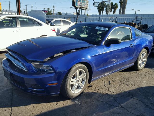 1ZVBP8AM6E5327711 - 2014 FORD MUSTANG BLUE photo 2