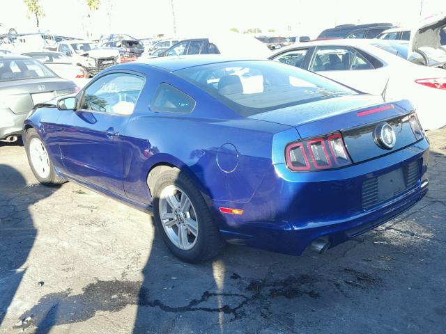 1ZVBP8AM6E5327711 - 2014 FORD MUSTANG BLUE photo 3