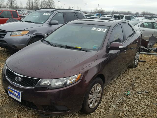 KNAFU4A23A5828518 - 2010 KIA FORTE EX BURGUNDY photo 2