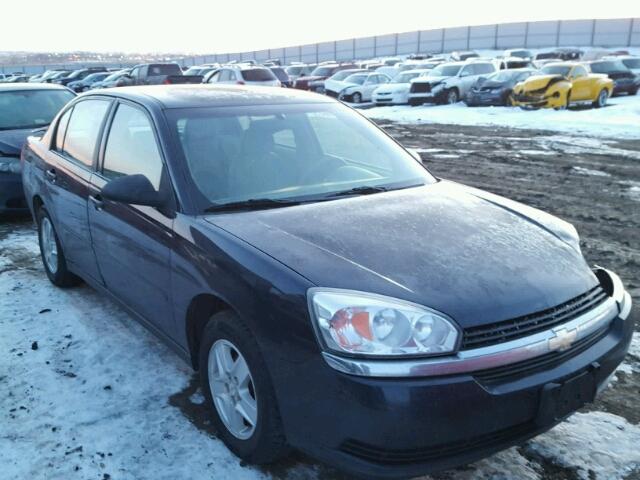 1G1ZT54825F153598 - 2005 CHEVROLET MALIBU LS BLUE photo 1