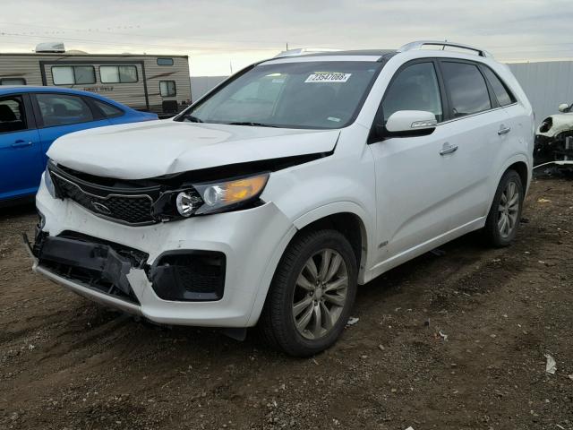 5XYKWDA29BG135912 - 2011 KIA SORENTO SX WHITE photo 2