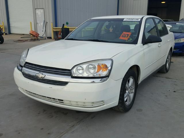 1G1ZT54885F204263 - 2005 CHEVROLET MALIBU LS WHITE photo 2