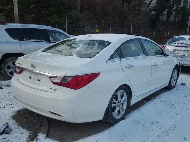 5NPEC4AC5DH695484 - 2013 HYUNDAI SONATA SE WHITE photo 4