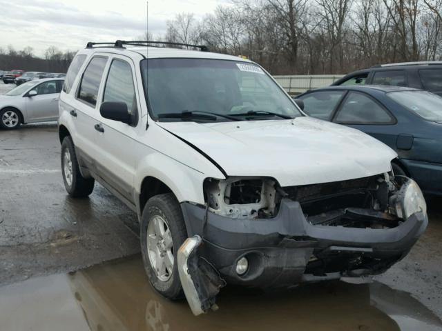 1FMCU93187KB58736 - 2007 FORD ESCAPE XLT WHITE photo 1