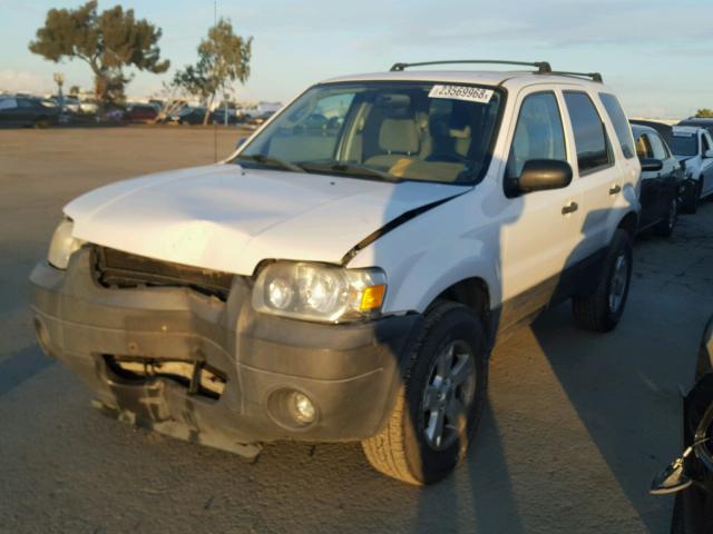 1FMYU93145KA70978 - 2005 FORD ESCAPE XLT WHITE photo 2