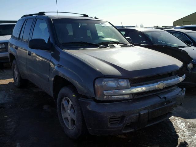 1GNDT13S652138804 - 2005 CHEVROLET TRAILBLAZE GRAY photo 1