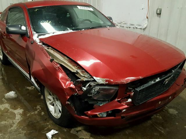 1ZVFT80N165155354 - 2006 FORD MUSTANG RED photo 9