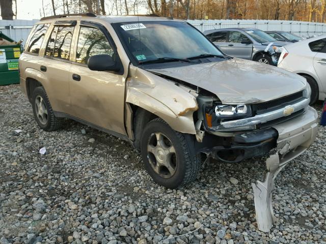 1GNDT13S872187568 - 2007 CHEVROLET TRAILBLAZE GOLD photo 1