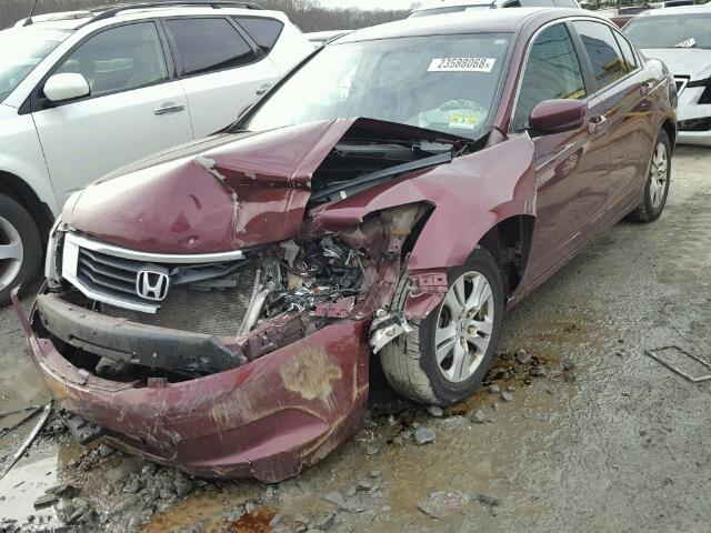 1HGCP26489A078937 - 2009 HONDA ACCORD LXP BURGUNDY photo 2