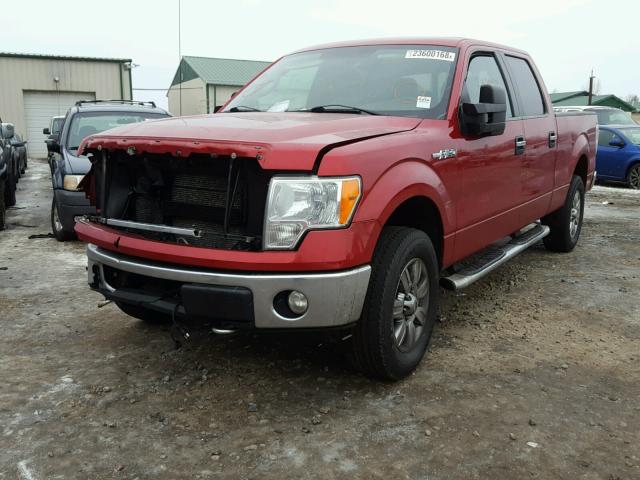 1FTFW1EV1AFC24119 - 2010 FORD F150 SUPER RED photo 2