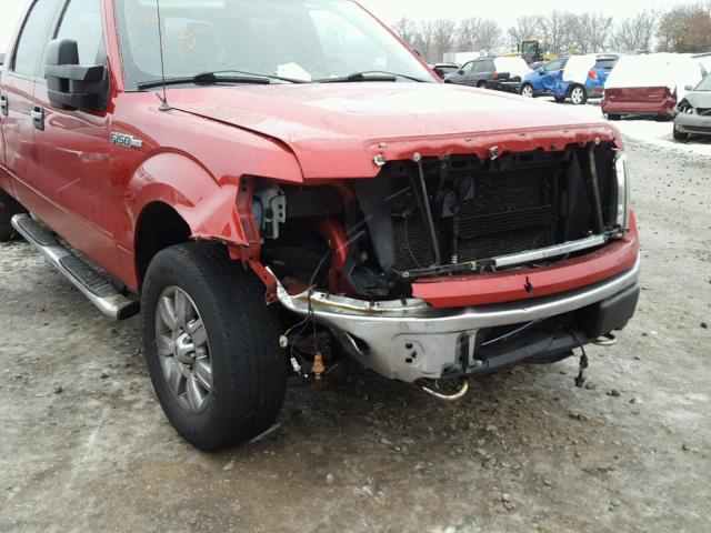 1FTFW1EV1AFC24119 - 2010 FORD F150 SUPER RED photo 9