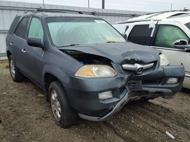 2HNYD18925H506359 - 2005 ACURA MDX TOURIN GRAY photo 1