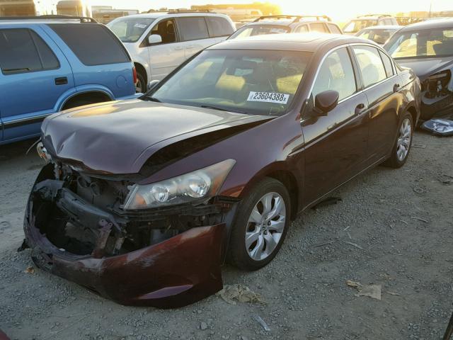 JHMCP26818C043238 - 2008 HONDA ACCORD EXL BURGUNDY photo 2