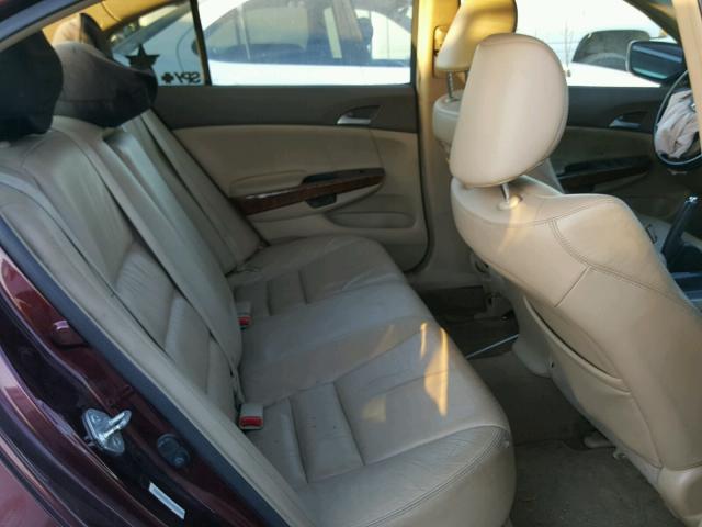 JHMCP26818C043238 - 2008 HONDA ACCORD EXL BURGUNDY photo 6