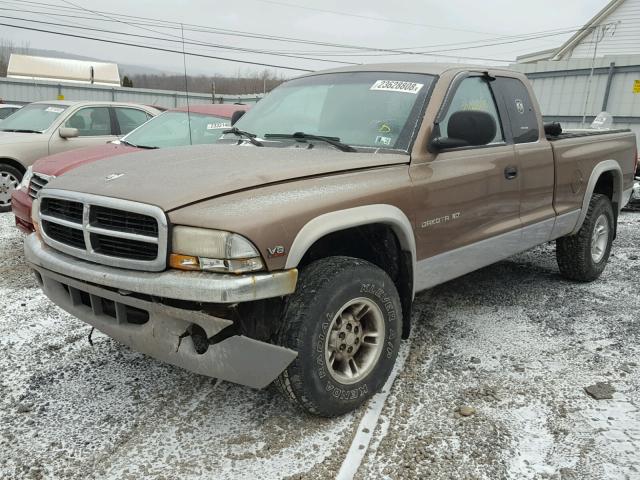 1B7GG22N6YS706257 - 2000 DODGE DAKOTA BROWN photo 2