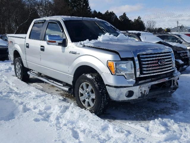 1FTEW1E83AFC41249 - 2010 FORD F150 SUPER SILVER photo 1