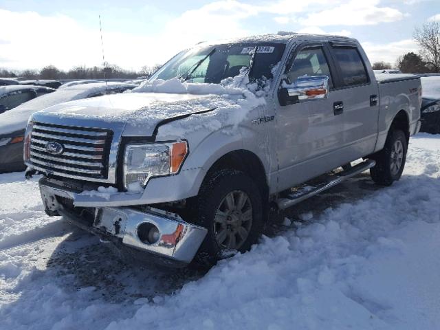 1FTEW1E83AFC41249 - 2010 FORD F150 SUPER SILVER photo 2