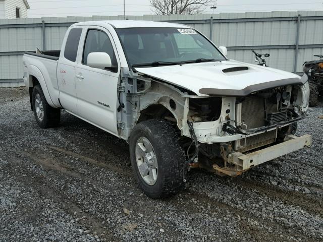 5TEUU4EN3AZ736949 - 2010 TOYOTA TACOMA ACC თეთრი ფოტო 1
