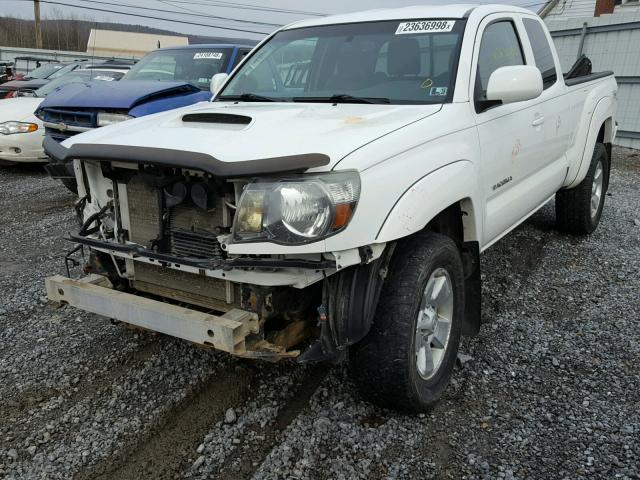 5TEUU4EN3AZ736949 - 2010 TOYOTA TACOMA ACC თეთრი ფოტო 2