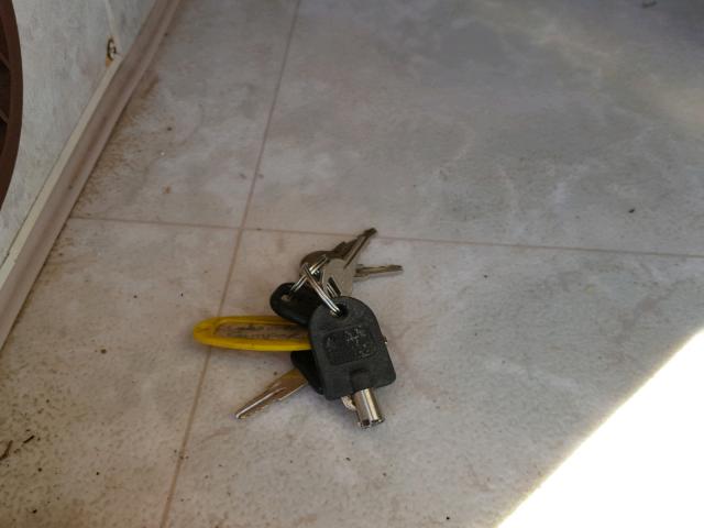 1NCE1140830102325 - 2003 NORT ARTIC FOX 白色 照片 8