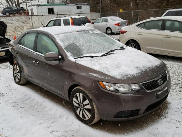 KNAFU4A28D5654112 - 2013 KIA FORTE EX BROWN photo 1