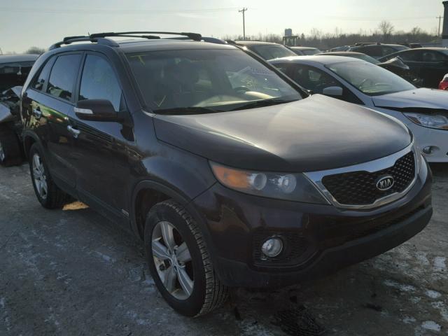 5XYKUCA6XCG206023 - 2012 KIA SORENTO EX MAROON photo 1