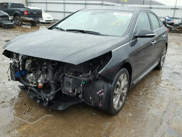 5NPE34AB1FH256941 - 2015 HYUNDAI SONATA SPO BLACK photo 2