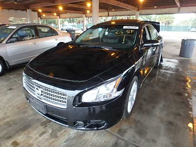 1N4AA5AP3BC837584 - 2011 NISSAN MAXIMA S BLACK photo 2