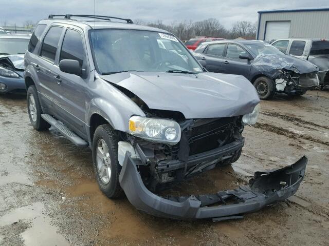 1FMCU03167KB69519 - 2007 FORD ESCAPE XLT GRAY photo 1