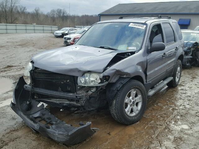 1FMCU03167KB69519 - 2007 FORD ESCAPE XLT GRAY photo 2