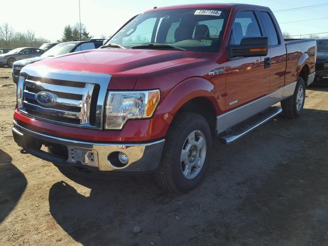 1FTFX1ET8BFC99512 - 2011 FORD F150 SUPER BURGUNDY photo 2