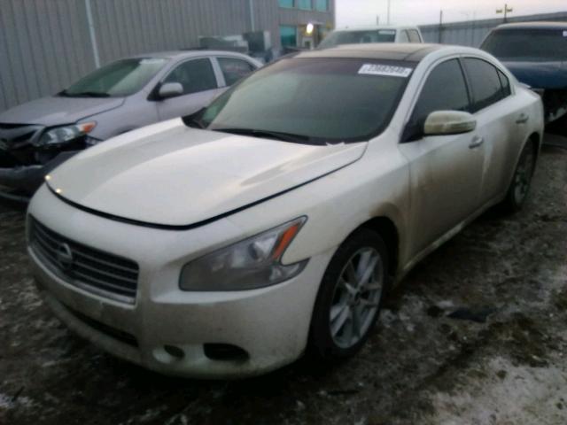 1N4AA5APXAC870290 - 2010 NISSAN MAXIMA S WHITE photo 2