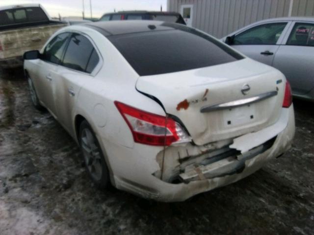 1N4AA5APXAC870290 - 2010 NISSAN MAXIMA S WHITE photo 3