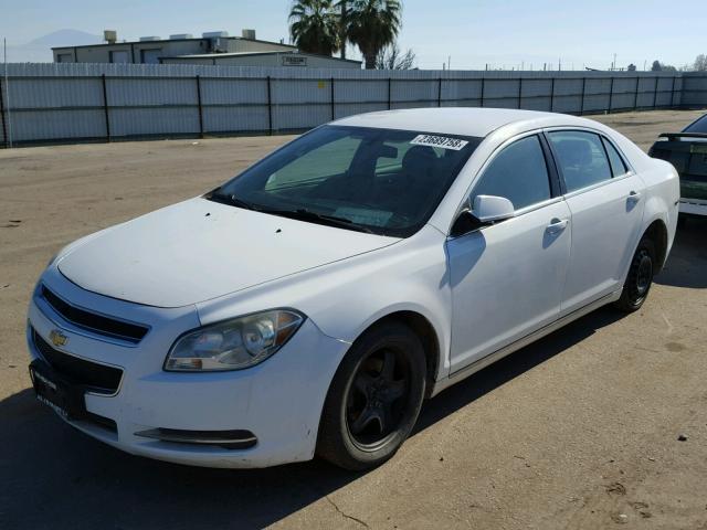 1G1ZC5EB5AF306592 - 2010 CHEVROLET MALIBU 1LT WHITE photo 2