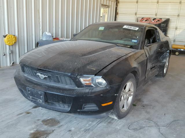 1ZVBP8AM9C5254105 - 2012 FORD MUSTANG BLACK photo 2