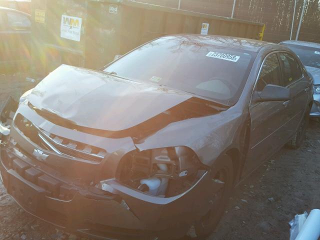 1G1ZB5E19BF192656 - 2011 CHEVROLET MALIBU LS ბეჟი ფოტო 2