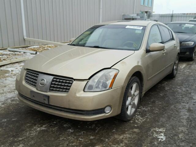 1N4BA41E14C886671 - 2004 NISSAN MAXIMA SE GOLD photo 2