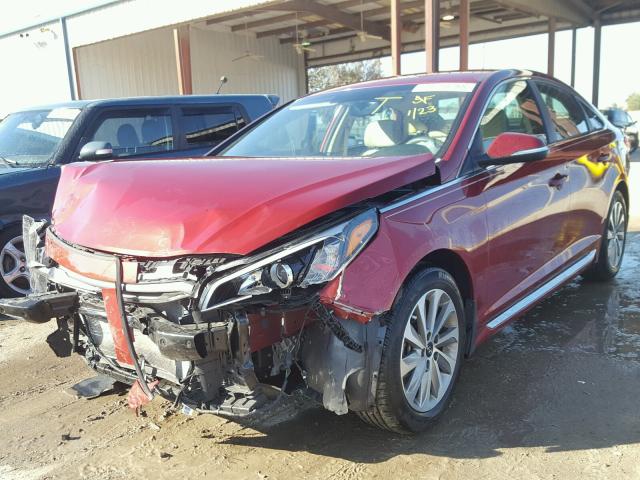 5NPE34AFXGH391243 - 2016 HYUNDAI SONATA SPO RED photo 2