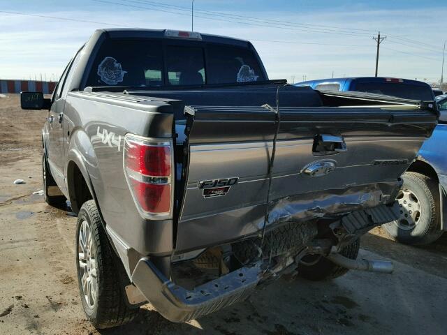 1FTFW1EV4AFA24237 - 2010 FORD F150 SUPER CHARCOAL photo 3