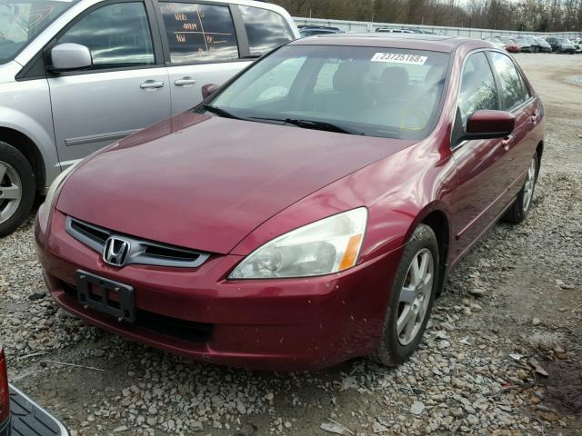 1HGCM66595A072888 - 2005 HONDA ACCORD EX BURGUNDY photo 2