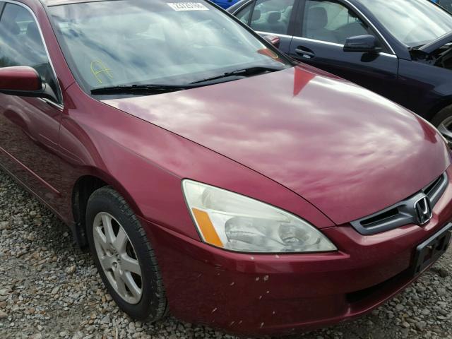 1HGCM66595A072888 - 2005 HONDA ACCORD EX BURGUNDY photo 9