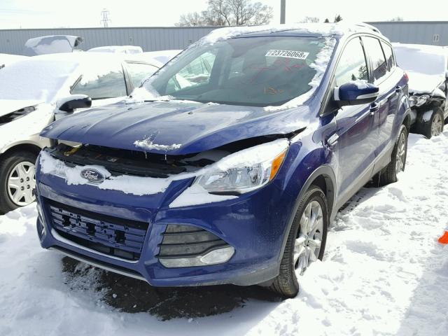 1FMCU9J95GUA76573 - 2016 FORD ESCAPE TIT BLUE photo 2