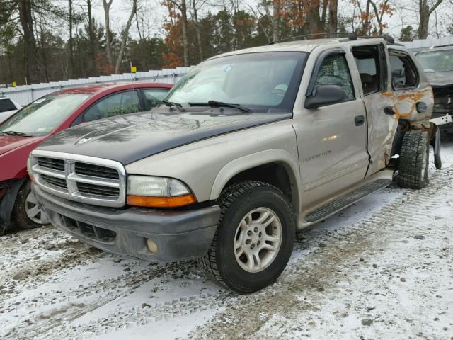 1B4HS28N31F600743 - 2001 DODGE DURANGO TAN photo 2