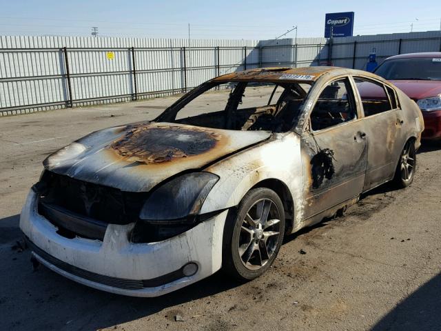 1N4BA41E64C803848 - 2004 NISSAN MAXIMA SE BURN photo 2