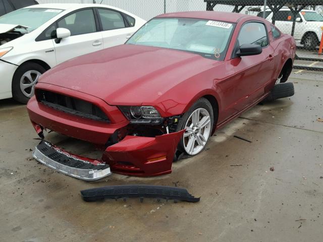 1ZVBP8AM8E5328181 - 2014 FORD MUSTANG RED photo 2