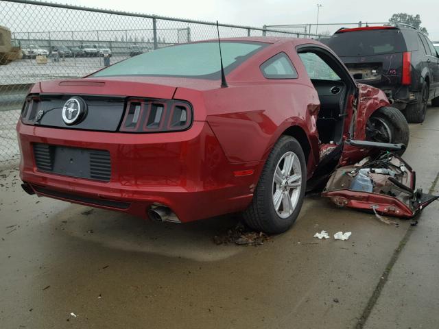 1ZVBP8AM8E5328181 - 2014 FORD MUSTANG RED photo 4