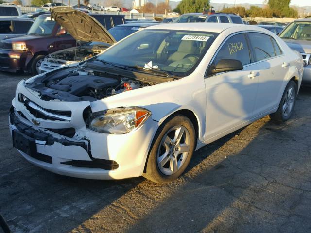 1G1ZA5E16BF351006 - 2011 CHEVROLET MALIBU LS WHITE photo 2